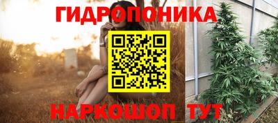 прущий лед Гагарин