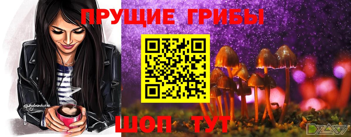 Галлюциногенные грибы прущие грибы  дарнет шоп  Галлюциногенные грибы мухоморы  Мурманск  Вход с VPN 