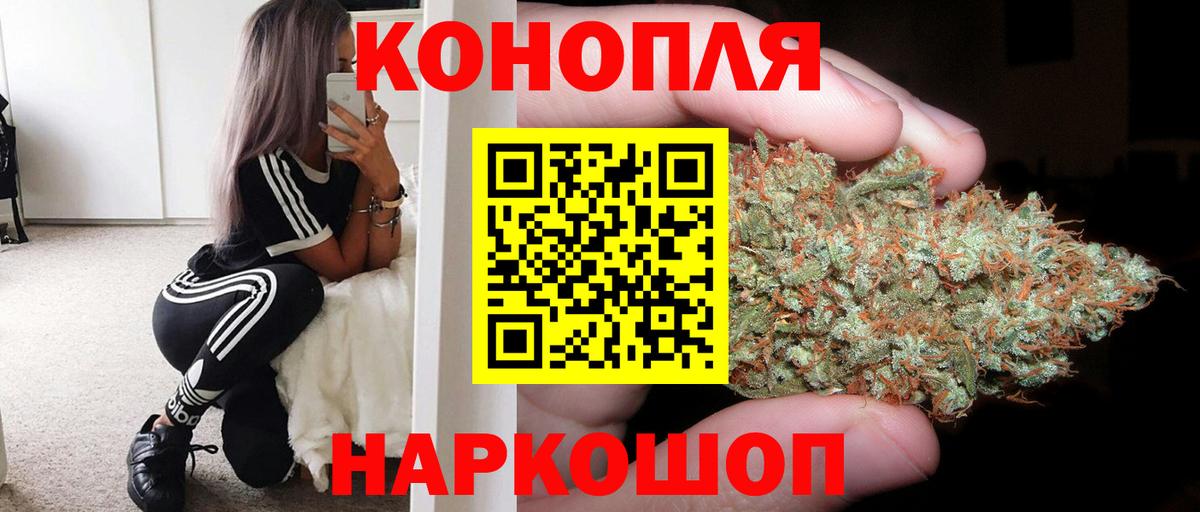 Шишки марихуана конопля Мурманск